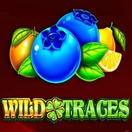 Wild Traces logo – Slots by Amusnet Interactive at N1Bet Casino